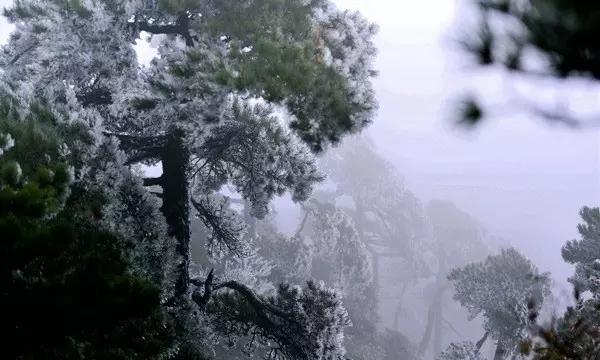 我的矿场