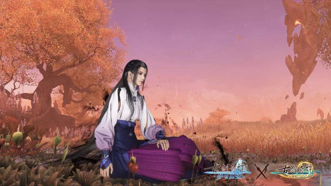 森林的奇迹
