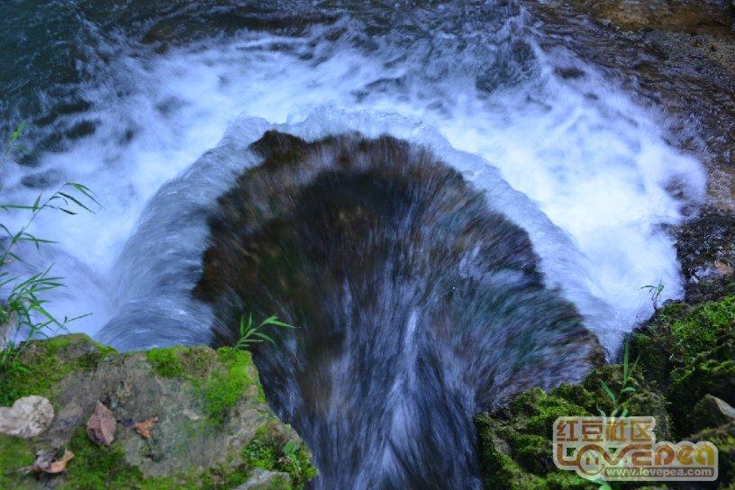 茂密丛林逃生