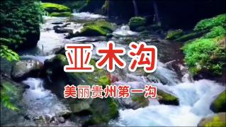 妙鸭相机app下载官网