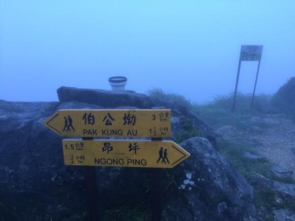 清理脏乱的宫殿