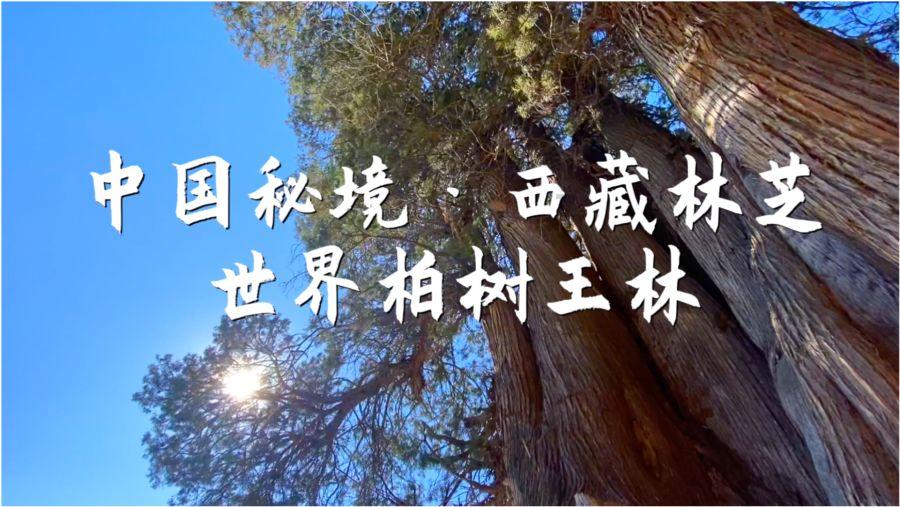 超三国无双5