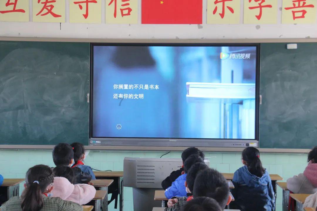 寻找萌宠松鼠