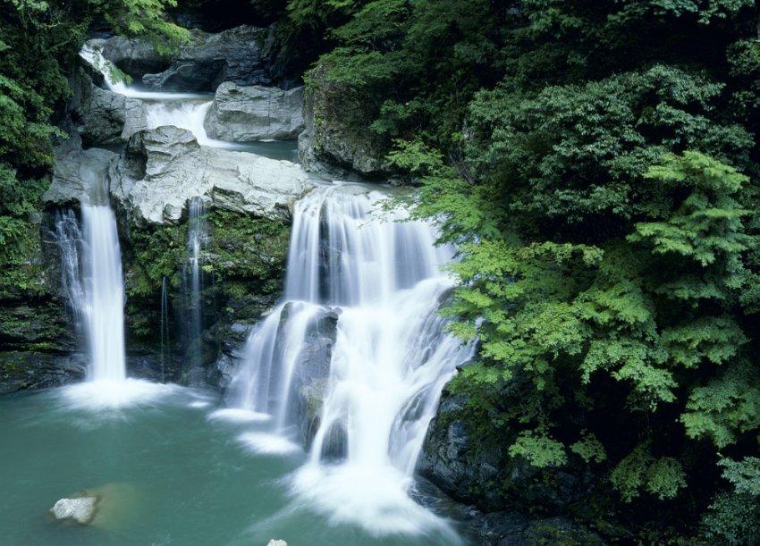 虫虫助手下载