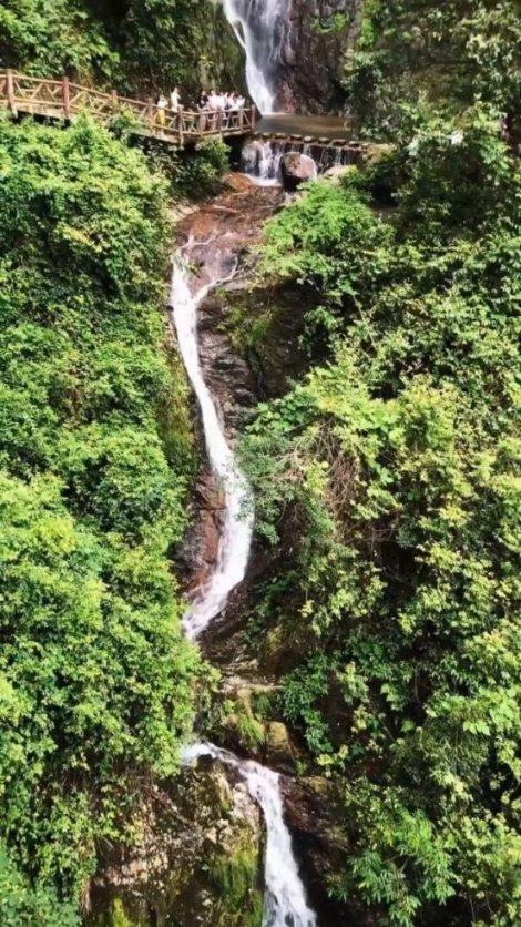 20KG螺旋定量称重包装机