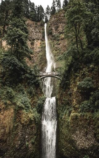 虫虫助手下载