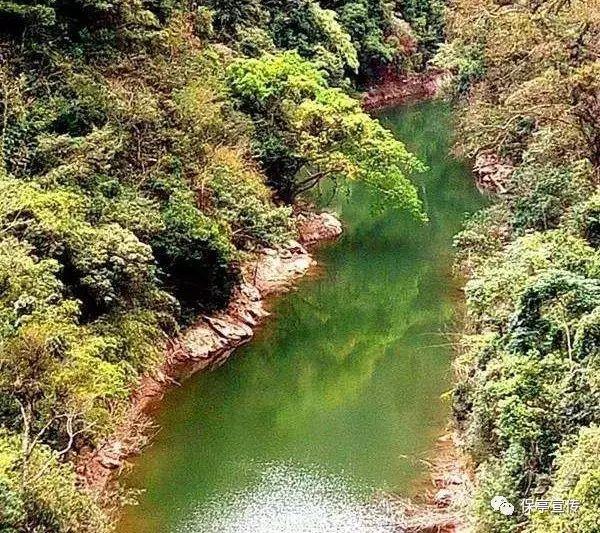 蓝狐视频