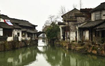 折耳猫除了遗传性骨骼病外，还容易出现哪种疾病？游戏画面